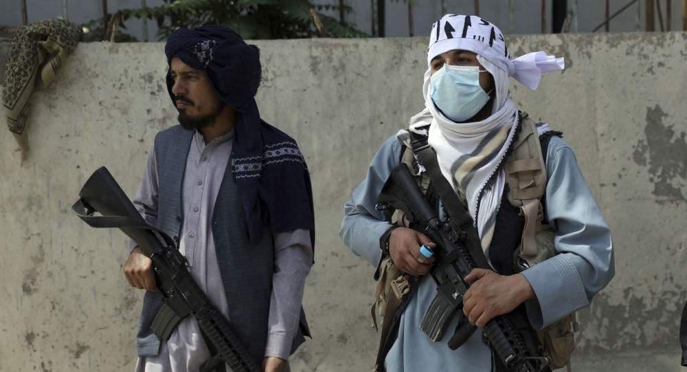 基地组织与塔利班,基地组织与塔利班的关系
